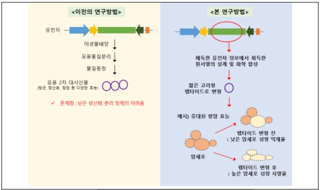 환경부, 방선균 유전체 기반 암세포 생장 억제 펩타이드 개발