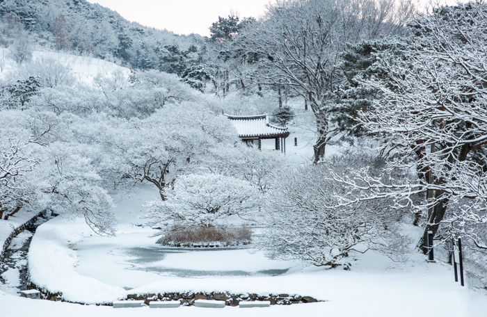 전남도, 남도 역사 깃든 ‘으뜸숲’ 12곳 선정