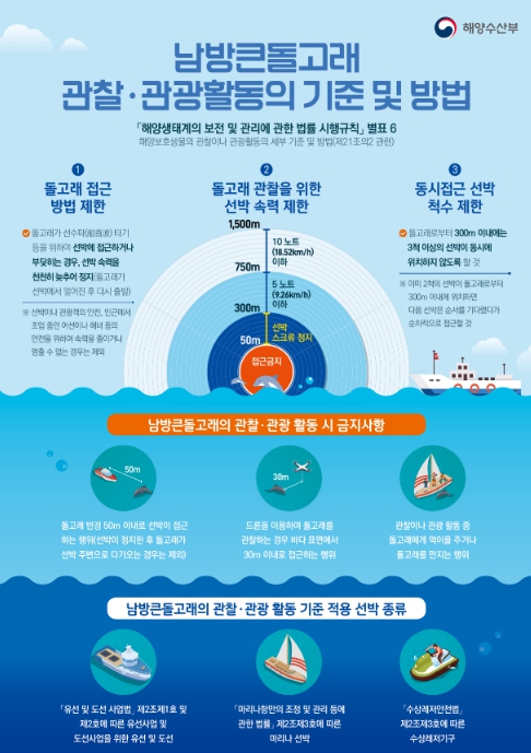 해양수산부, "선박 관광시 돌고래 안전 위협하면 200만 원이하 과태료 부과"