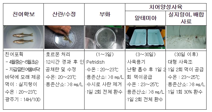 멸종위기 Ⅰ급 모래주사 국내 첫 복원 성공