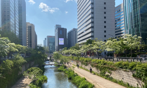산림청, 5월에 꼭 가봐야 할 명품 가로수길