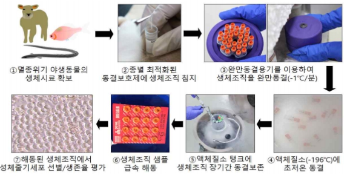 환경부, 산양 등 멸종위기 19종 동결보존 기술 개발