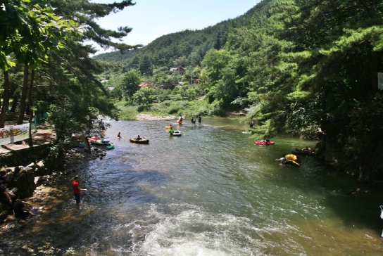 산림청, "무더운 여름 울창한 숲속 시원한 계곡에서 이겨내요"