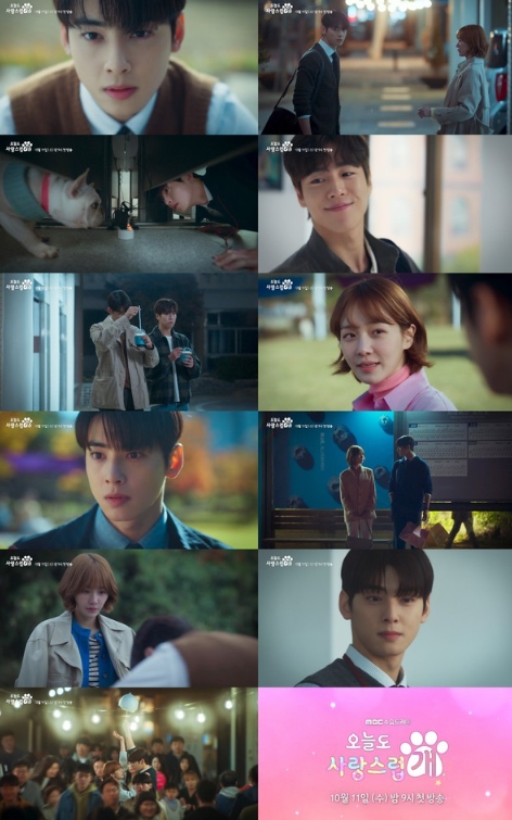 '오늘도 사랑스럽개' 차은우X박규영X이현우, ‘멍냥꽁냥’ 심쿵 로맨스 2차 티저 공개!