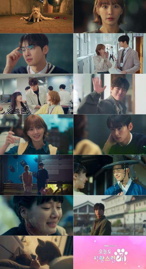 '오늘도 사랑스럽개' 반대라서 더욱 끌리는 차은우X박규영의 ‘멍냥꽁냥’ 로맨스 서막! 하이라이트 영상 공개!