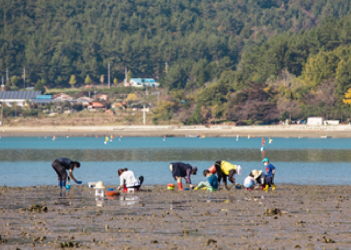 4월의 경상남도 수산물·어촌여행지·무인도서 선정!