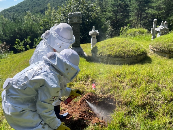경남소방본부 무더위 속 경계해야 할 위험, 벌 쏘임에 주의하세요!