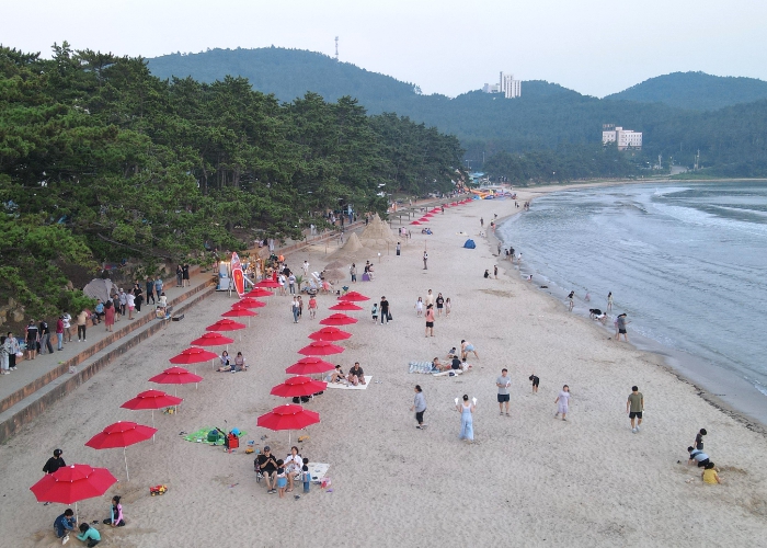 전남도, 해수욕장 다채로운 볼거리·안전 관리 온힘 