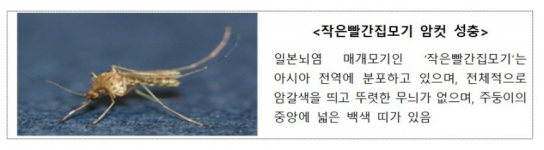 전국에 일본뇌염 경보 발령…"백신접종하고 모기 조심해야"
