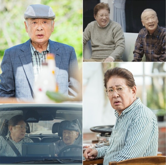 '개소리' 이순재-김용건, 마음만은 ‘꽃청춘’ 시니어들의 넘사벽 케미! 믿고 보는 국민 배우들의 실제 호흡은?