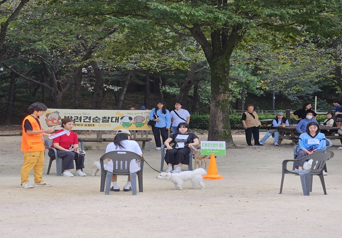 서울시, "안전한 서울 동행할개(犬)" 반려견 순찰대 1,704팀 활동 시작