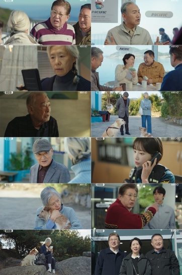 '개소리' 이순재, 예수정의 아픈 상처 치유하는 해결사로 활약! 아무도 몰랐던 예수정의 비밀이 밝혀지며 반전 선사