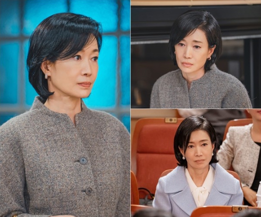'신데렐라 게임' 나영희, ‘신데렐라 게임’ 선택 이유 “복수극과 가족 드라마의 두 가지 매력을 담은 드라마”