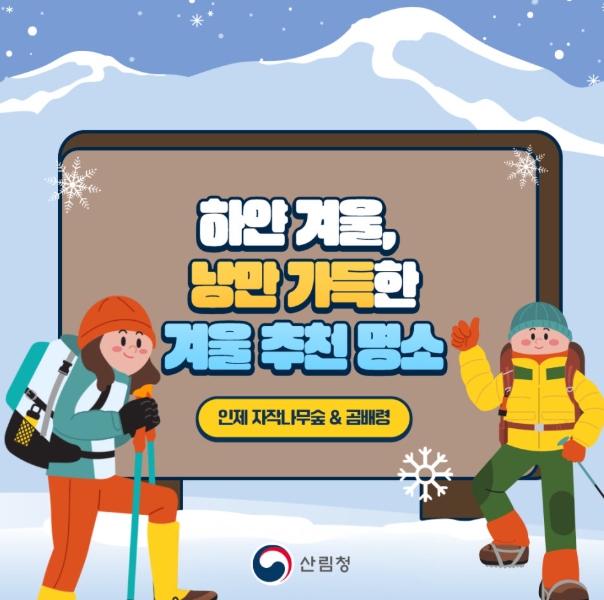 산림청, 하얀 겨울 추천 명소 ‘인제 자작나무숲 & 곰배령’