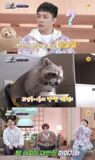 '동물은 훌륭하다', 고지안 훈련사 눈물 쏟게 만든 길고양이 납치 사건의 전말은?