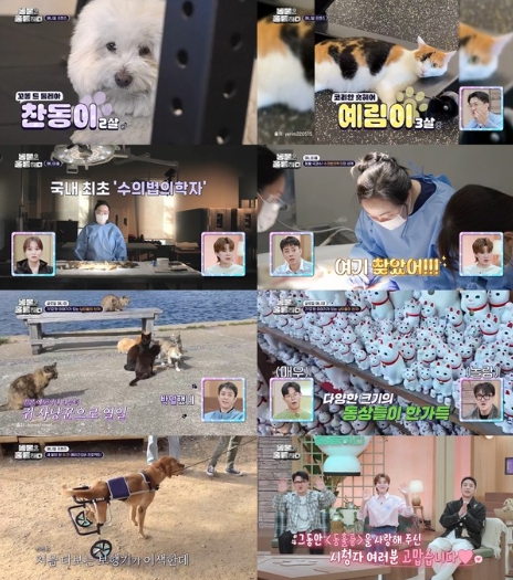 '동물은 훌륭하다' 은지원·장도연·데프콘의 마지막 인사 "동물들 계속 사랑해주세요"