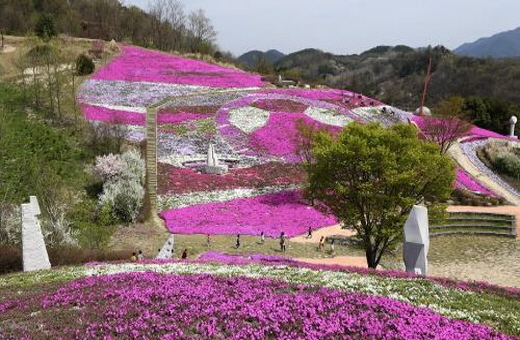 201604140141_산청군-생초국제공원11.jpg