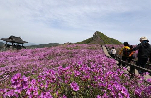 t산청20160503011000353_01_i.jpg