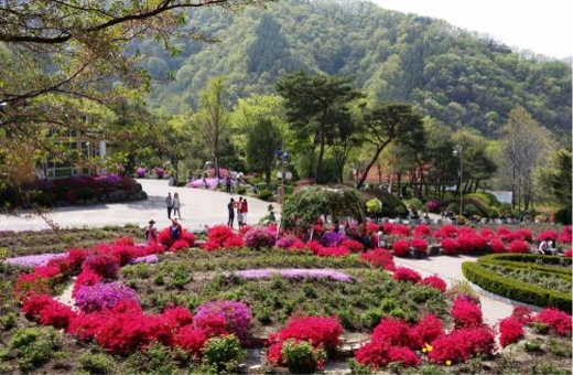 20160504027300353_01_i.jpg