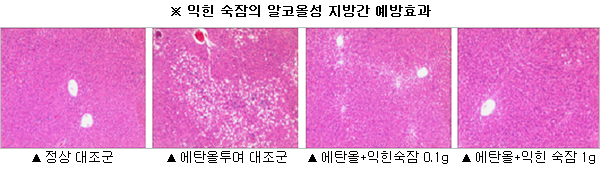 103196b001a80fd5bf1da7688ddbcbed.jpg