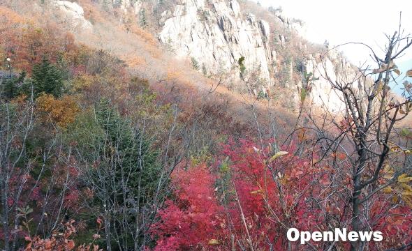 20161017_160336.jpg