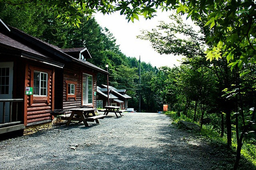 청141414산림.jpg