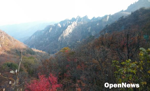 20161017_160259.jpg