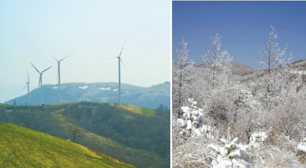 201114555-66.jpg