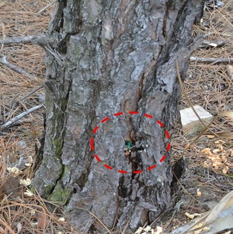 201709890457.jpg
