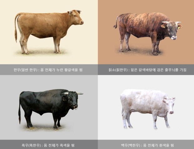 2017-04-03한우자조금 홈페이지113.jpg