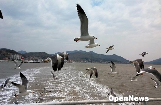 2017052700_120841.jpg