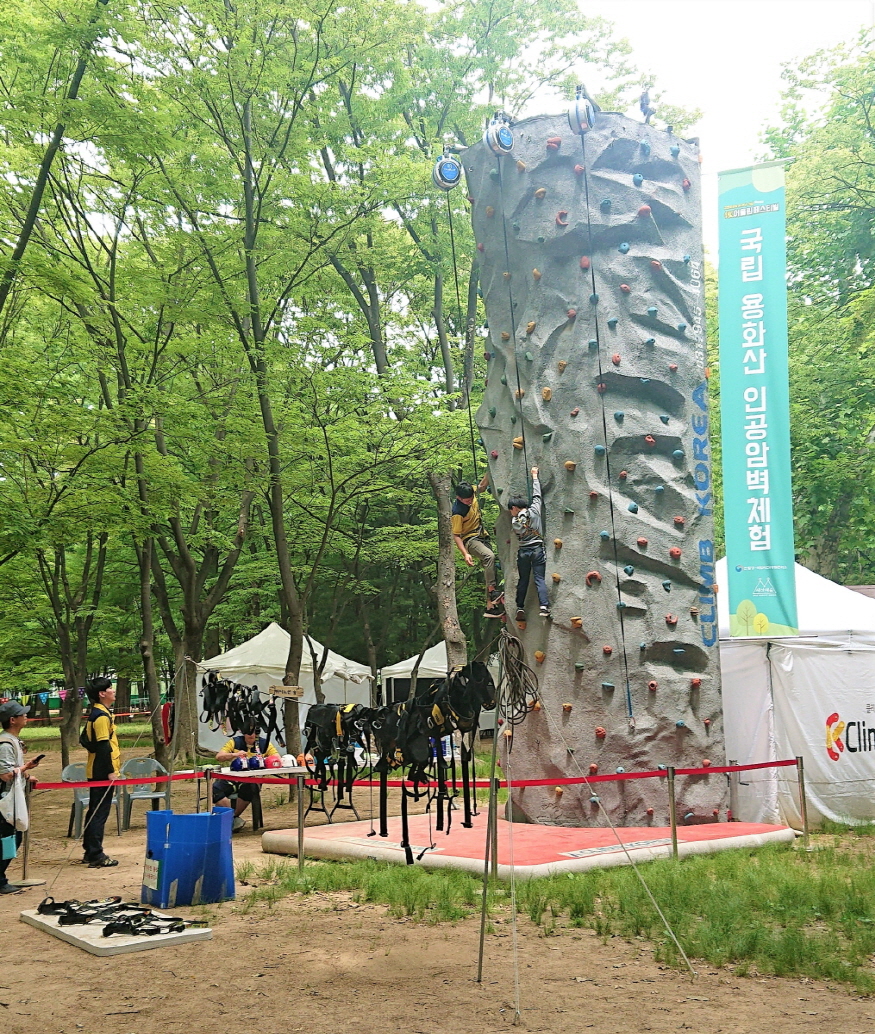 875-20190525_forest1.jpg