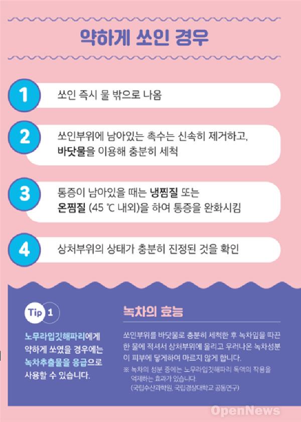 noname01해파리.jpg