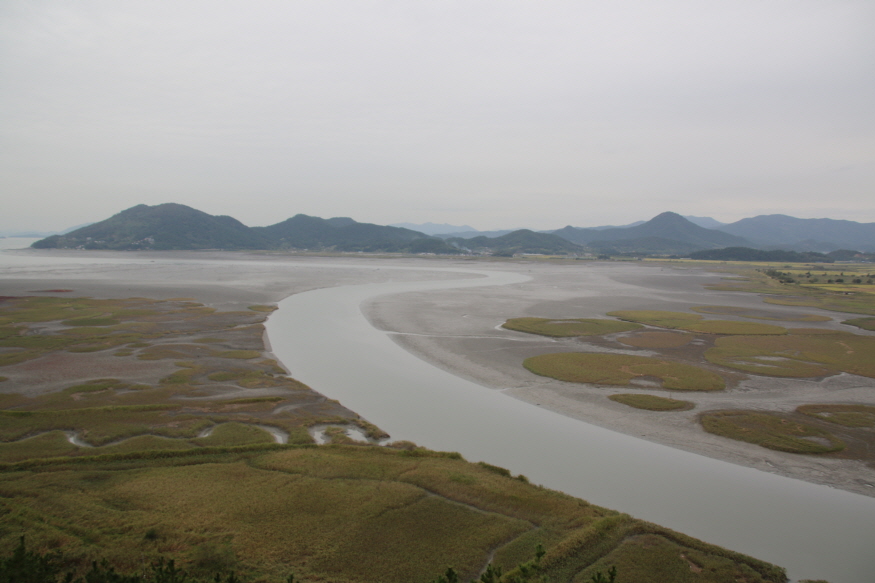 순천갯벌_(2).jpg