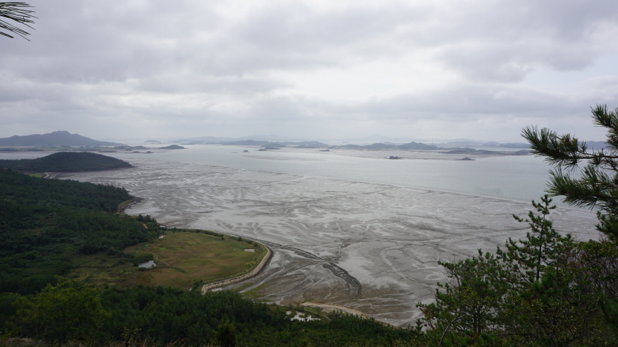 신안갯벌_(1).jpg