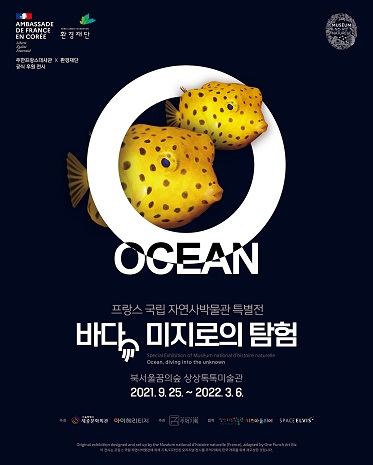 배포 이미지.jpg